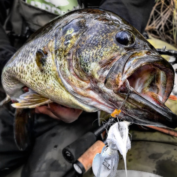 bass fishing custom lure Ultimate Bundle 4 Inches and weight 19 grams and made from copper Dialed in on the fly