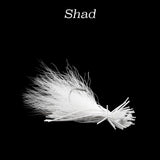 Hybrid-Skirt Finesse Jig